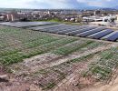 dji 20240320155639 d